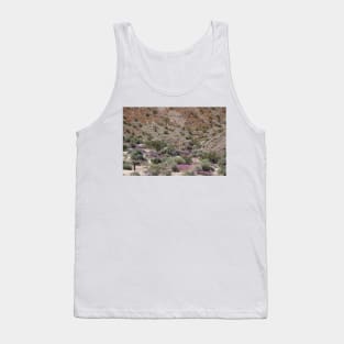 Desert Scene 23 Tank Top